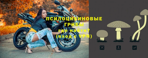 эйфоретик Переславль-Залесский