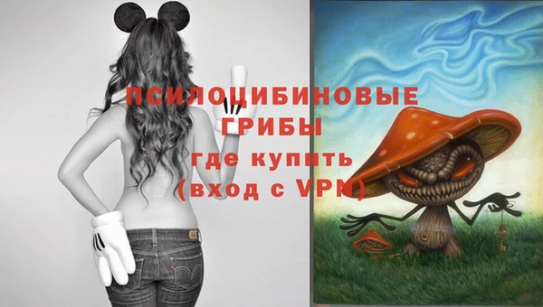 ГАЛЛЮЦИНОГЕННЫЕ ГРИБЫ Остров